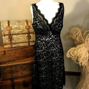 White House/Black Market Black Lace Dress with V-Neck & Eyelash Lace Accents